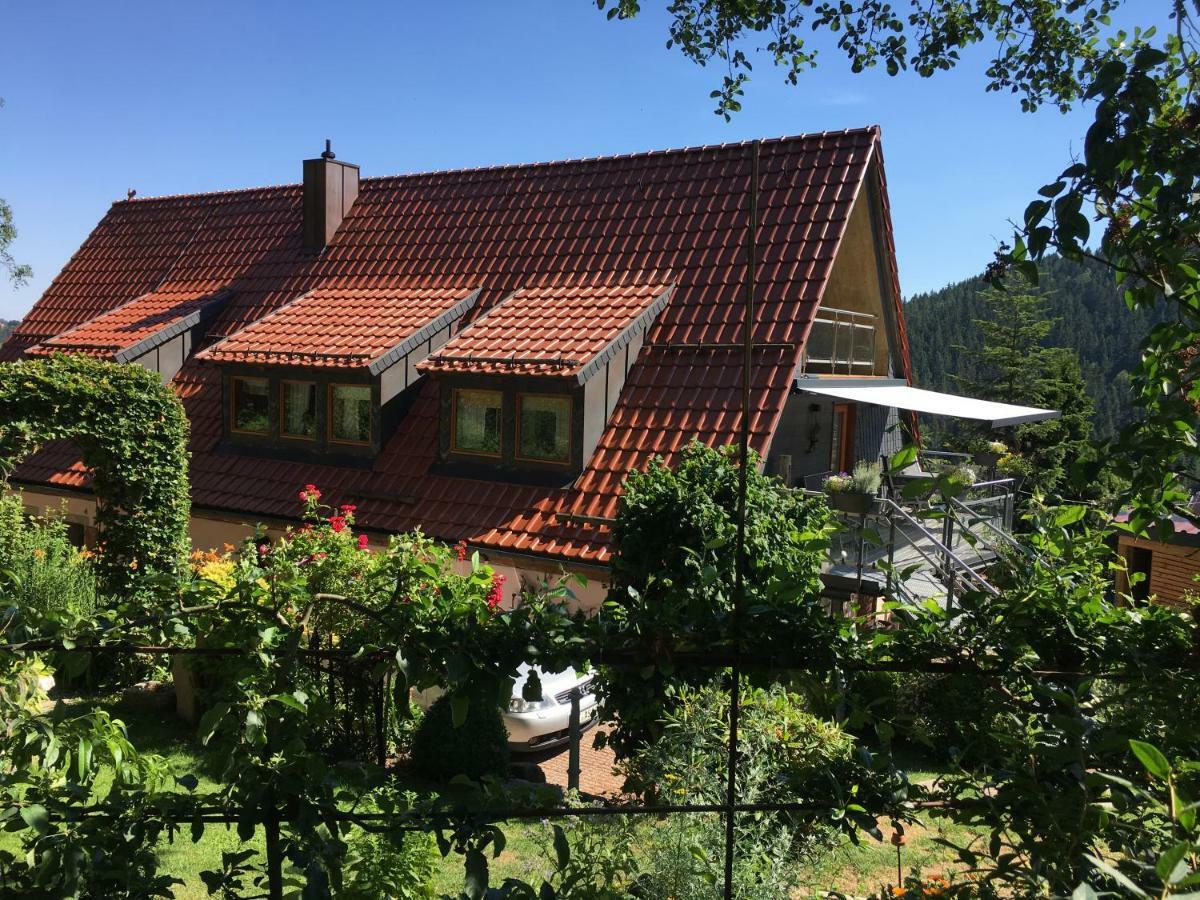 Ferienwohnung Wildenreuth Weidenberg Ngoại thất bức ảnh