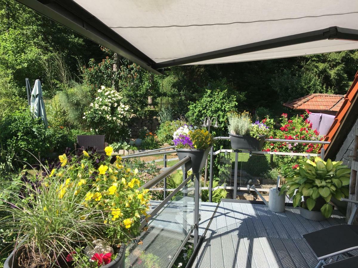 Ferienwohnung Wildenreuth Weidenberg Ngoại thất bức ảnh